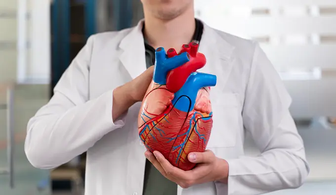خدمات قلب و عروق در کلینیک سپیدا
