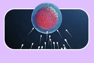 خدمت آی وی اف (IVF) در کلینیک سپیدا