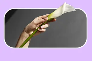 خدمت ﮐﻮﻟﭙﻮراﻓﯽ ﯾﺎ ﺑﺎزﺳﺎزی واژن در کلینیک سپیدا