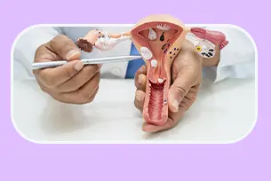 خدمت ﻋﻤﻞ ﺟﺮاﺣﯽ ﻓﯿﺒﺮوم رﺣﻢ (ﻣﯿﻮم اﯾﻨﺘﺮاﻣﻮرال) در کلینیک سپیدا