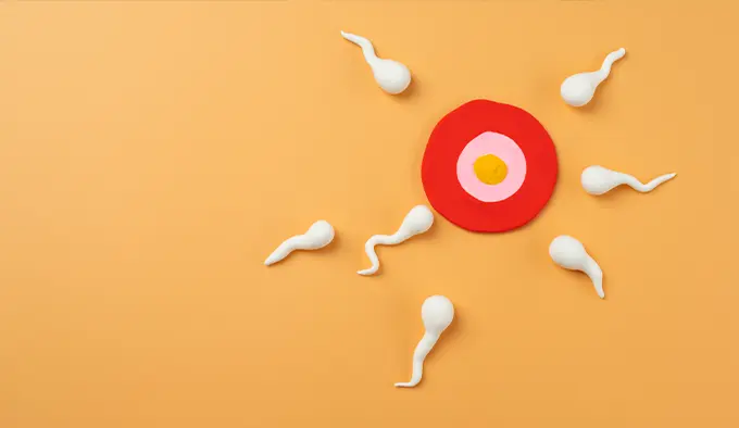 آی وی اف (IVF) کلینیک درمانی سپیدا